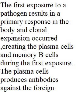 Immune System DQ 2